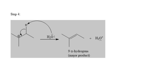 Step 4 Но: Но* + 9 a-hydrogens (major product)