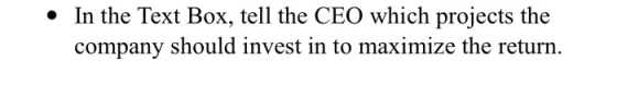 • In the Text Box, tell the CEO which projects the company should invest in to maximize the return.