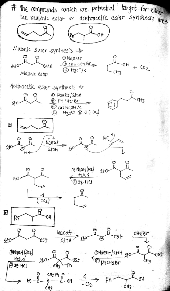 # The compounds which are potential target for eithe the malonic estar o acetoacetic estar synthesis ar Malonic Sster synthe