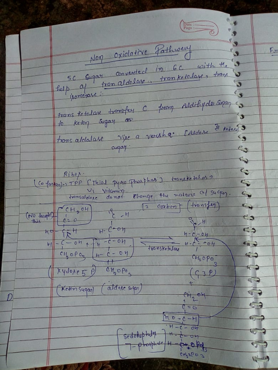Non Oxiclative fathway 5c Sugar converted in 6c with the s help of tran aldolase tran keto lase, trans I isomerase it trans K