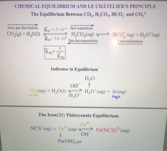 CHEMICAL EQUILIBRIUM AND LE CHÂTELIERS PRINCIPLE The Equilibrium Between CO2, H2CO3, HCO3- and CO 2- slow gas dissolution CO
