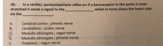 40. In a cardiac, parasympathetic reflex arc if a baroreceptor in the aorta is over- stretched it sends a signal to the via t