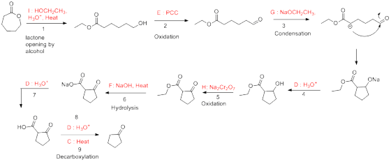 1: HOCH2CH3 H30*, Heat E : PCC G: NaOCH2CH3, مرلی он 2 Oxidation Condensation lactone opening by alcohol D : Hg0 * Na0 ال- :