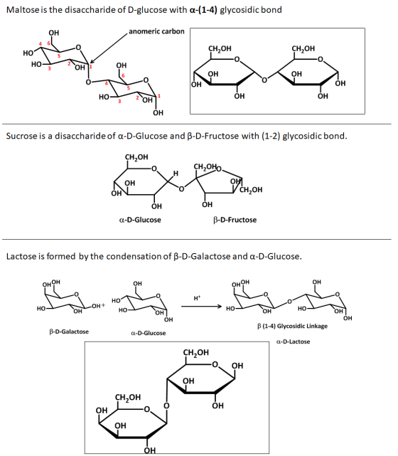 Maltose is the disaccharide of D-glucose with a-(1-4) glycosidic bond ОН anomeric carbon 4 6 СН,ОН HO CH2OH о ноз ОН ОН НО ,