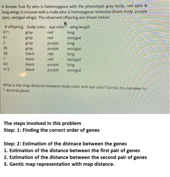 A female fruit fly who is heterozygous with the phenotype gray body, red eyes & long wings is crossed with a male who is homo