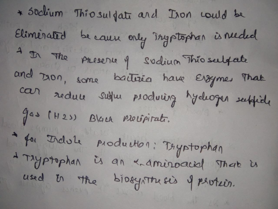 * Sodium Thiosulfate and Iron could be Elimerated because only Tryptophan is needed - In The presence of sodium This seelfate