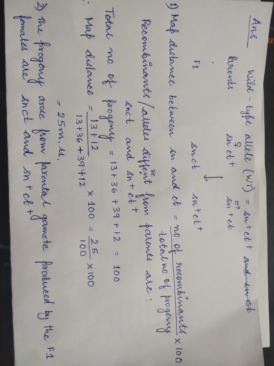 Ans Wild - type allele (WT) = sut ett and awet Parents In ett intet F1 such sntett 1 Map distance between en and ct = no. of