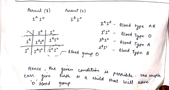 Parent (2) Parent (1) II Il 1° IAL Blood AB IA I I I° Blood Type type Type o B 1 IAI IPIO IBIA Blood Type A 1° | I^1° | I° 1
