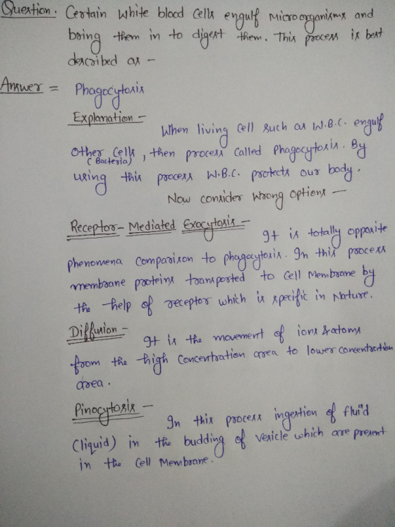 Question. Certain white blood cells engulf microorganismx and boing them in to digest them. This process is bext dexcaibed at