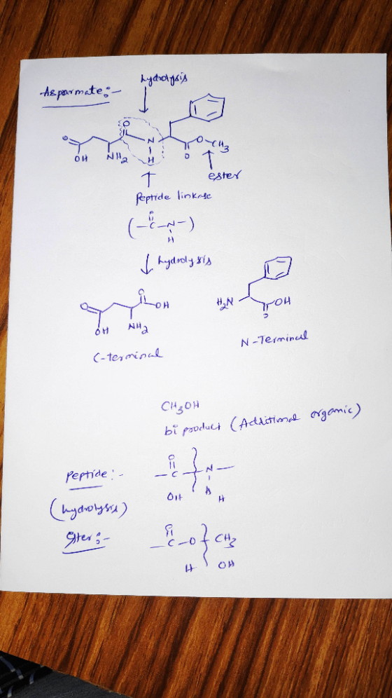 hydrolysis Heparimates - yotesting Lyoung OH NH2 H t ester Peptide linkese (E-) I hydrolysts on Nha N-Terminal C-terminal CH₃