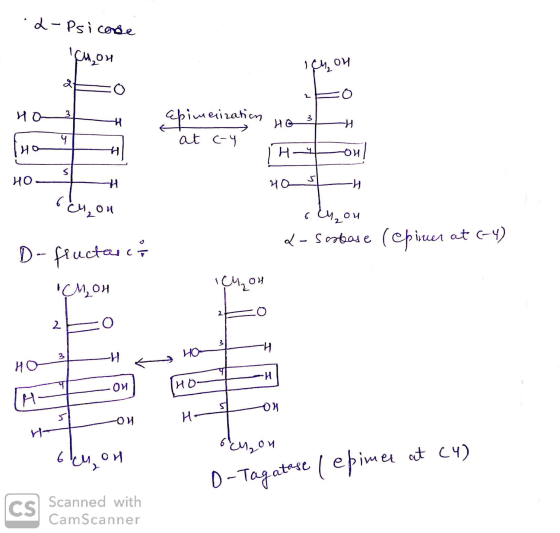 2-Psicose Chon AFO HO 3 Ichou apimerization Ho 3 . at c-y 17-4 Hot ochou no s ody,ou a-soolase (epinen at (-4) D-fluctas Cho