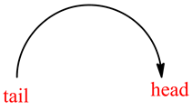 head
tail
