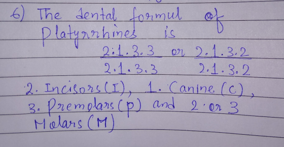 The dental aue Dlatynhi 21.3. 3 021.3.2 2.1.3.3 2.1.3.2 24 (I ト1 (olans (M)