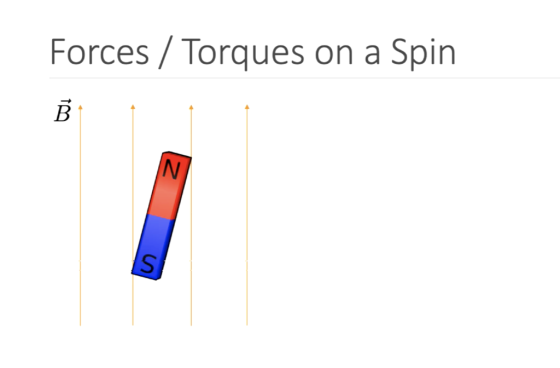 Forces/Torques on a Spin