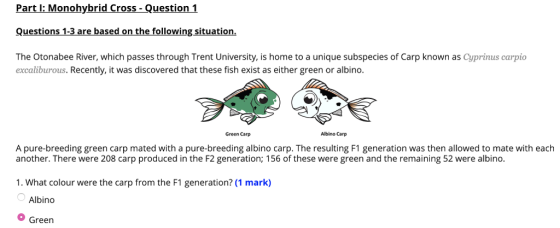Part l: Monohybrid Cross -Question 1 Questions 1-3 are based on the following situation. The Otonabee River, which passes through Trent University, is home to a unique subspecies of Carp known as Cyprinus carpio excaliburous. Recently, it was discovered that these fish exist as either green or albino Green Carp Albino Carp A pure-breeding green carp mated with a pure-breeding albino carp. The resulting F1 generation was then allowed to mate with each another. There were 208 carp produced in the F2 generation; 156 of these were green and the remaining 52 were albino 1. What colour were the carp from the F1 generation? (1 mark) Albino Green