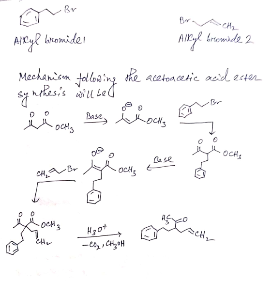 A Br Branch Alkyl bromider Ainyl browside 2 Mechanism following the acetoacetic acid ester synthesis will be ů och Dase one o