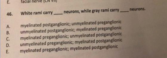 E. facial nerve (CNV ite rami carry neurons, while gray rami carry-neurons. A. myelinated postganglionic; unmyelinated prega