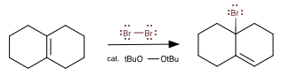 :Bi-Br: cat tBuo otBu