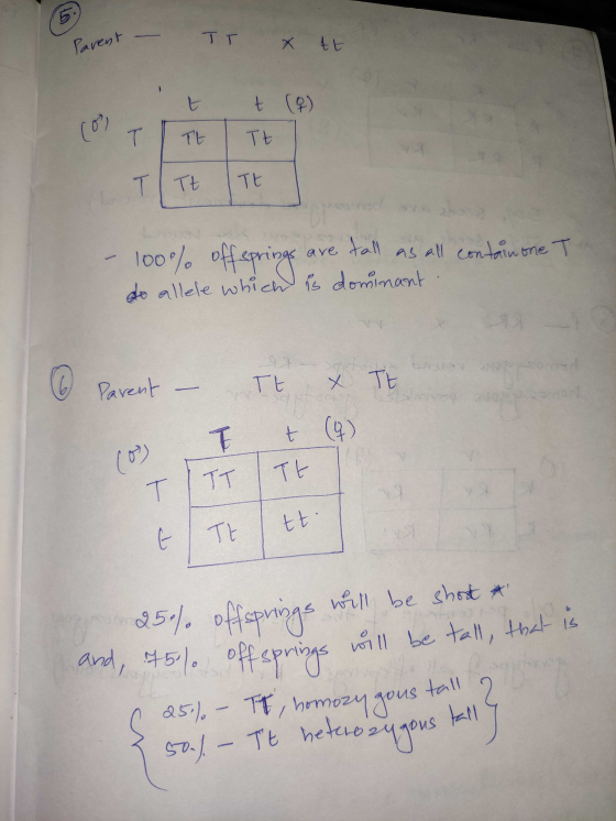 Parent x tt tt (2) TITETE TTE TE - 100% offsprings are tall as all contain one T do allele which is dominant. (6 Parent - Tt