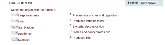 QUESTION 23 Match the organ with the function. Large intestines Liver D. Gall bladder Duodenum Stomach Primary site of chemical digestion 5. Produces intrinsic factor Bacterial decomposition Stores and concentrates bile Produces bile 5 points Save Answer