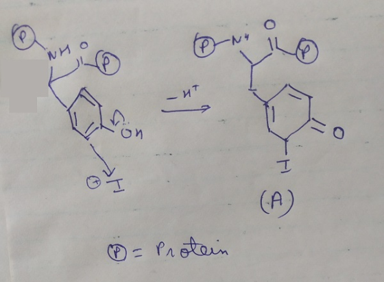 NH (A) B = Protein