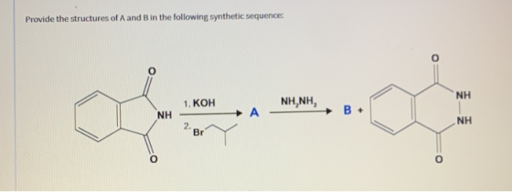 Provide the structures of A and B in the following synthetic sequence: NH 1. KOH ΝΗ,ΝΗ, NH