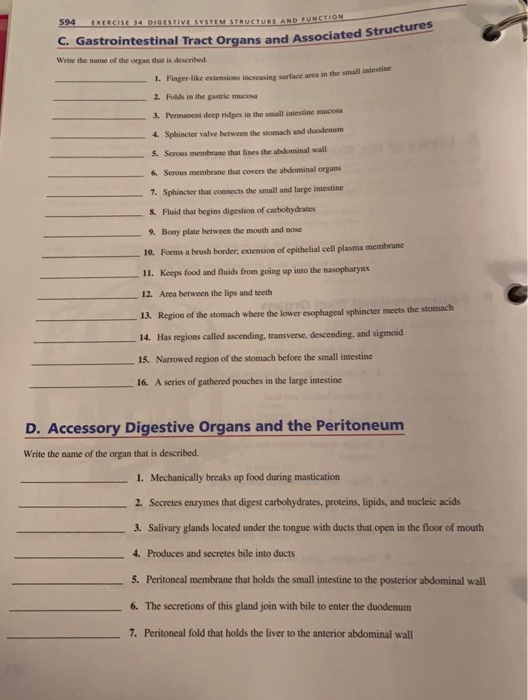 594 EXERCISE 34 DIGESTIVE SYSTEM STRUCTURE AND FUNCTION C. Gastrointestinal Tract Organs and Associated Structures Write the