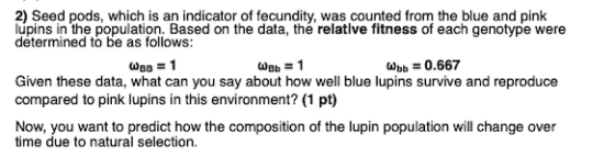 2) Seed pods, which is an indicator of fecundity, was counted from the blue and pink lupins in the population. Based on the d