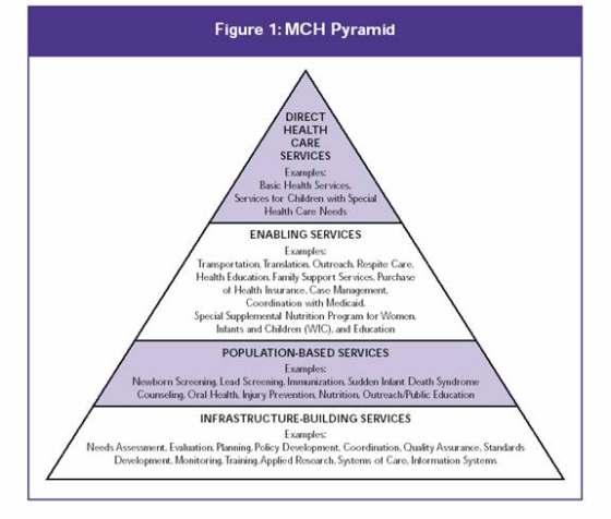 Figure 1: MCH Pyramid DIRECT HEALTH CARE SERVICES Examples Basic Health Services Services for Children with Special Health Ca
