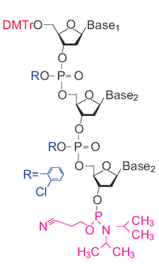 DMTOO Base RO-P=0 07 Base RO-P=0 0-0 Basez R= c N ON CH3 H3C^CH3
