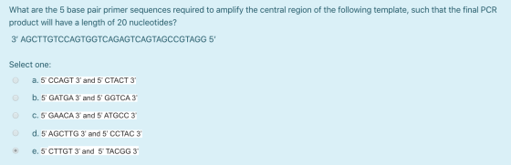 What are the 5 base pair primer sequences required to amplify the central region of the following template, such that the fin