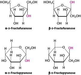 нон, А снон нонс а он нно, Кнно, нон H ICH OH он н a-D-Fructofuranose Он н B-D-Fructofuranose н —оснон КН но / но у он ноон (