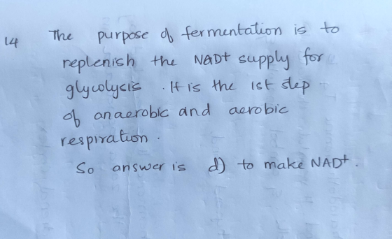 14 The purpose of fermentation is to replenish the NADT supply for glycolysis It is the 1st step of anaerobic and aerobic res