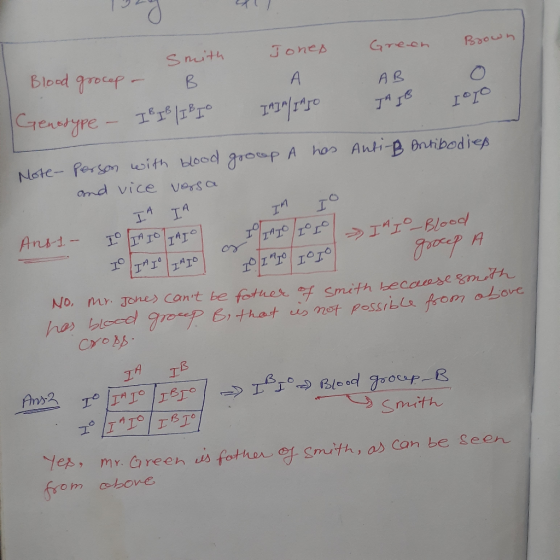smith Blood grocep - B Genotype - IB IB IB IO Jones A IAIN | IA JO Green AB JAIB Brown 0 Logo group A has Anti-B antibodies N
