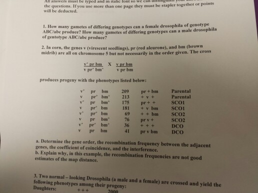 All answers must be typed and in italic tont so we can disth the questions. If you use more than one page they must be stapler togethet or points will be deducted. 1. How many gametes of differing genotypes can a female drosophila of genotype ARCiabe produce? How many gametes of differing genotypes can a male drosophila of gentotype ABC/abe produce? 2. In corn, the genes v (virescent seedlings), pr (red aleurone), and bm (brown midrib) are all on chromosome 5 but not necessarily in the order given. The cross v pr* bm v pr bm produces progeny with the phenotypes listed below: v* pr bm 209 pr+bm Parental Parental sco v pr bm175 v pr bm 181+vbm SCO v pr bam 69 ++ bm SCO2 76 prv+ pr bm 76 v pr bm V pr bm 36 ++ v pr bm sco2 DCO 41 pr v bm DCo a. Determine the gene order, the recombination frequency between the adjacent genes, the cocfficient of coincidence, and the interference. b. Explain why, in this example, the recombination frequencies are not good estimates of the map distance. 3. Two normal - looking Drosophila (a male and a female) are crossed and yield the following phenoty pes among their progeny: Daughters: