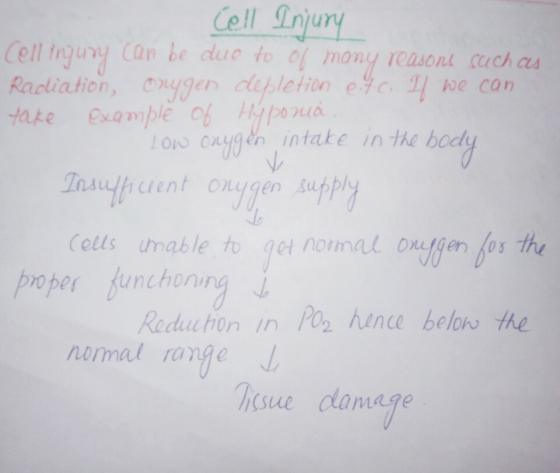 Cell Tnjury ell ngury Can be duc fo of mony reasont cuch c Racliation, oggen clpleion eyc we can oN yg en intate in the bod T