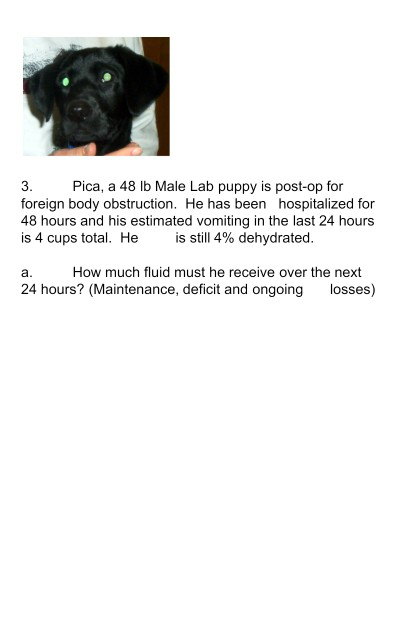 Pica, a 48 lb Male Lab puppy is post-op for foreign body obstruction. He has been hospitalized for 48 hours and his estimated