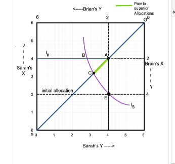 C -Brians Y Paret superior Alocations Brains X Sarahs Sarahs Y -->
