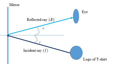 Mirror
Eye
Reflected ray (R)
Incident ray (I)
Logo of T-shirt