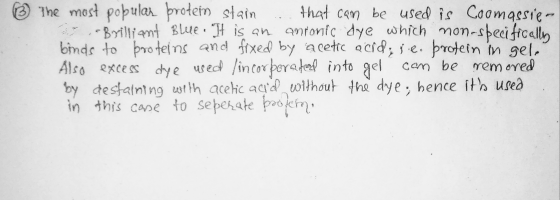 ③ The most popular protein stain ... that can be used is Coomassie- Brilliant Blue. It is an anronic dye which non-specifical