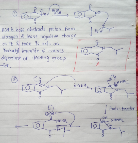 KOM KOH & base abstracts podlon from nitrogen & leave negative charge on it & then 9h ads on Pobutyl bromide of causes depart