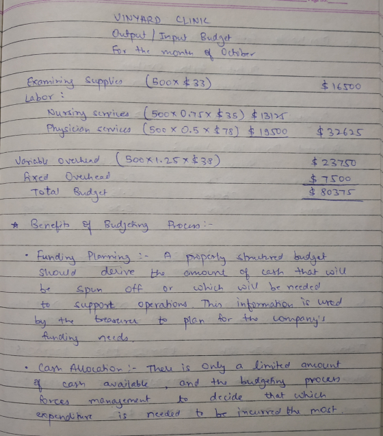 VINYARD CLINI Output / Input Budget for the month of October Examining supplies (500x $33). $ 16500 Labor : Nursing services