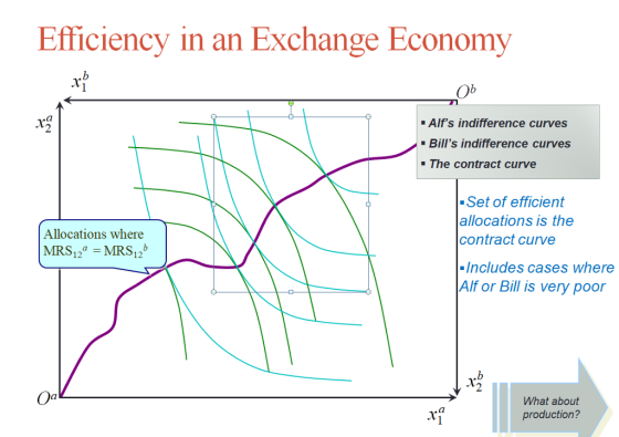 Efficiency in an Exchange Economy Alfs indifference curves Bills indifference curves The contract curve Set of efficient allocations is the contract curve Allocations where Includes cases where Alf or Bill is very poor What about production?