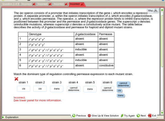 The lac operon consists of a promoter that initiat