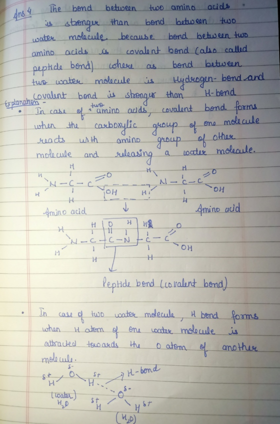 Ine 4 The bond between two amino acids • is stronger than bond between two water molecule because bond between two. amino aci