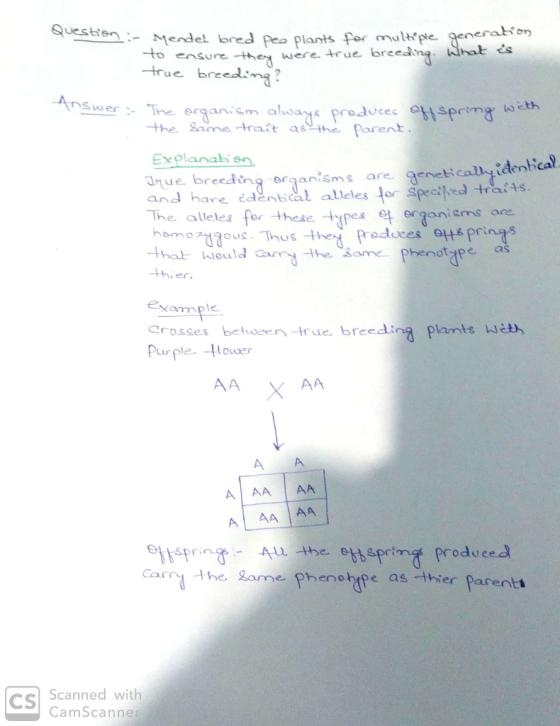 Question - Mendel bredt -.- Mendet bred pee plants for multiple generation to ensure they were true breeding. What is true br