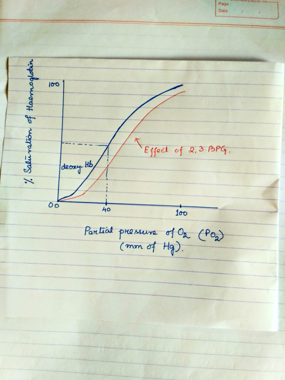Pago Dato Effect of , 3 PP 1o0 2.