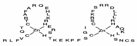 WI- OLYAMO To zn s - 0 av RL EV KE KP F Sncs