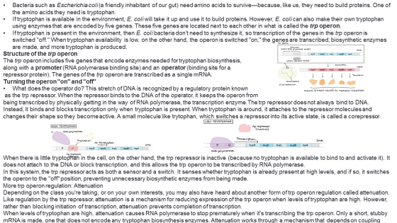 Primate (where RNA polymerases) DNA Bacteria such as Escherichia coli(a friendly inhabitant of our gut) need amino acids to s