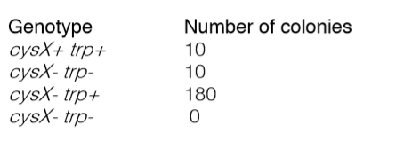 Number of colonies 10 Genotype cysX+ trp+ cysX- trp- cysX-trp+ cysX- trp- 10 180